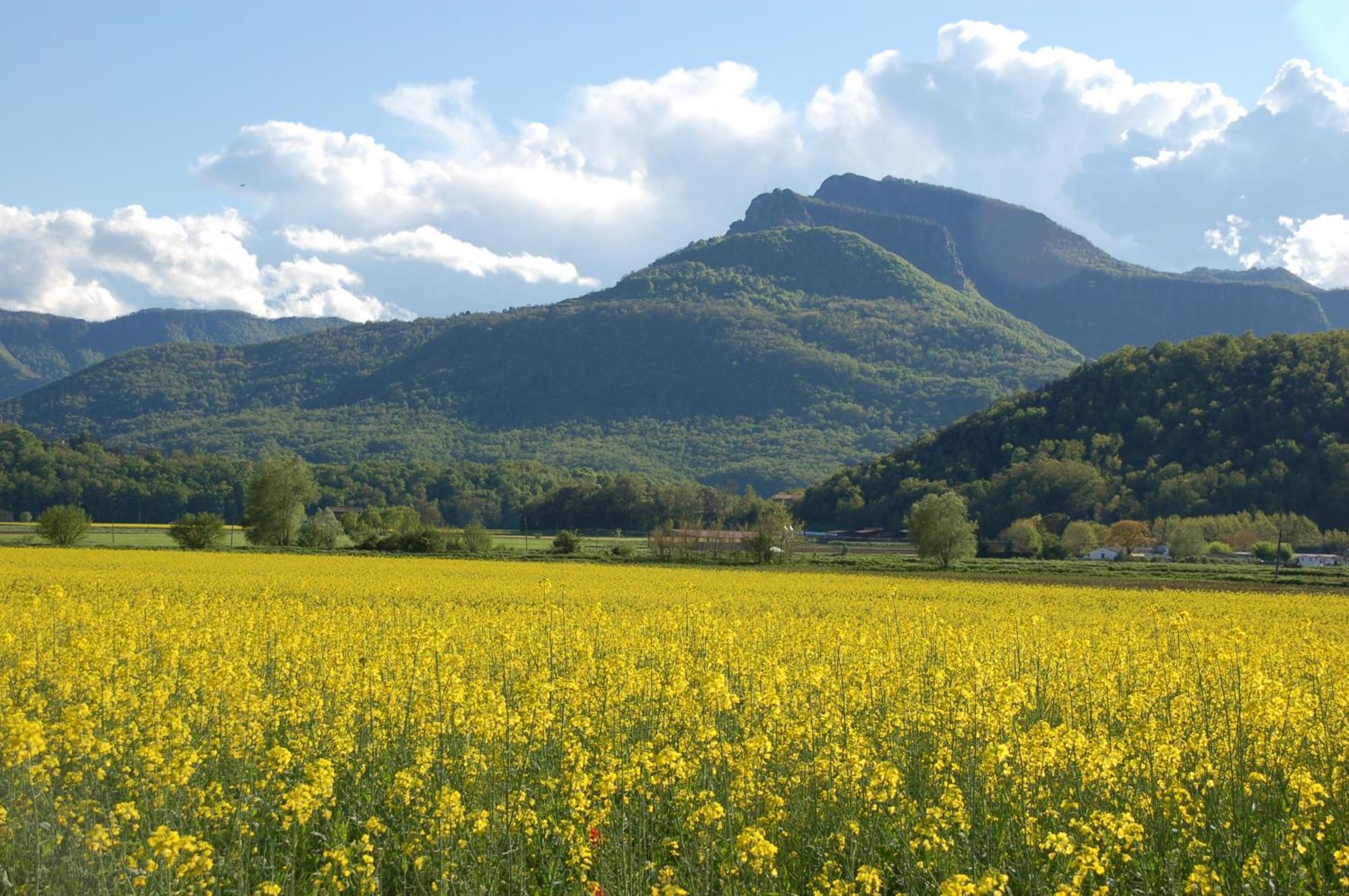 Casa Rural Mas Garganta La Pinya Kültér fotó